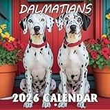 Dalmatians Calendar 2026: Bold patterns and lively steps captured month by month