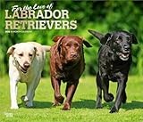 For the Love of Labrador Retrievers | 2026 14 x 24 Inch (Hanging) Monthly Deluxe Wall Calendar | Foil Stamped Cover | Plastic-Free | BrownTrout | Animal Dog Breeds