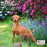2026 Vizsla Calendar - Dog Breed Wall Calendar - 12 x 24 Open - Thick No-Bleed Paper - 14 Month Planner Calendar Organizing & Planning