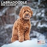 2026 Labradoodle Calendar - Dog Breed Wall Calendar - 12 x 24 Open - Thick No-Bleed Paper - 14 Month Planner Calendar Organizing & Planning