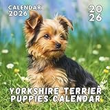 Yorkshire Terrier Puppies 2026 Calendar: A Year of Cuteness & Fluffy Faces
