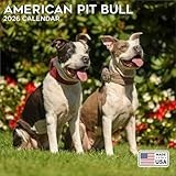 2026 American Pitbull Terrier Calendar - Dog Breed Wall Calendar - 12 x 24 Open - Thick No-Bleed Paper - 14 Month Planner Calendar Organizing & Planning