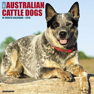 Australian cattle dog kennel