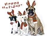 Pet Star Christmas Cards - Border Collie, Labrador, & Mastiff