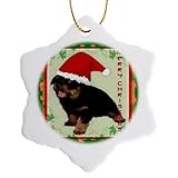 3dRose Merry Cute Baby Rottweiler in A Sitting Pose Wearing A Santa Hat for Christmas Snowflake Ornament, 3"