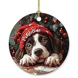 Personalized German Shorthaired Pointer Christmas Ornament, Unique German Shorthaired Pointer Ornament Gift for Dog Lover Dog Owner Family Friends, Custom Name German Shorthaired Pointer Ornament