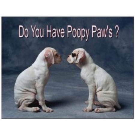 Poopy Paw's: Omaha's Professional Pet Waste Removal Service