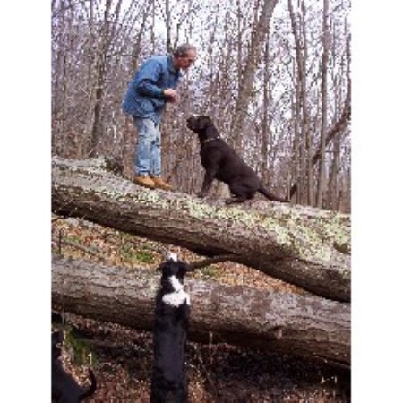 Hooves, Paws, Tails & Claws Dog Walking & Pet Sitting, Llc
