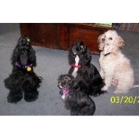 Rub-A-Dub Pup / Moonshine Babies Connersville Indiana Logo 