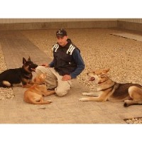 Neuman K-9 Academy, Inc Hugo Minnesota Logo 