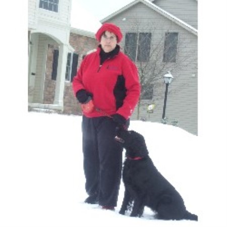 The Pet Nannies Of Central Ohio, Llc