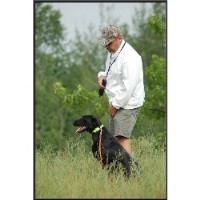 Thunder Myst Retrievers Fenton Michigan Logo 