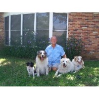 Will Thomas Dog Whisperer Osprey Florida Logo 