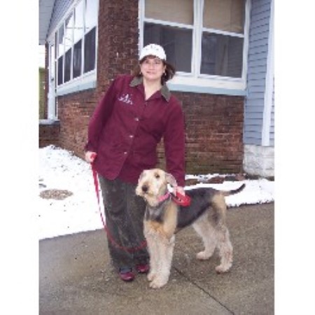 Don Gentile Dog Training Don Gentile Dog Training
