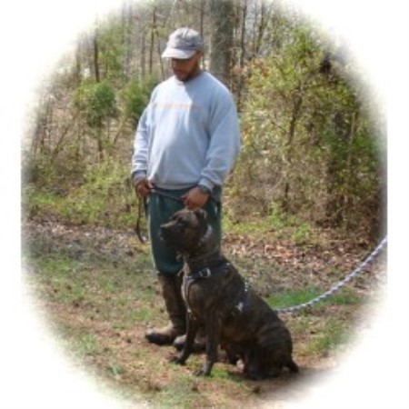 Dream Team Kennels & Academy