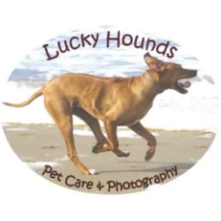 Lucky Hounds Pet Care & Photography