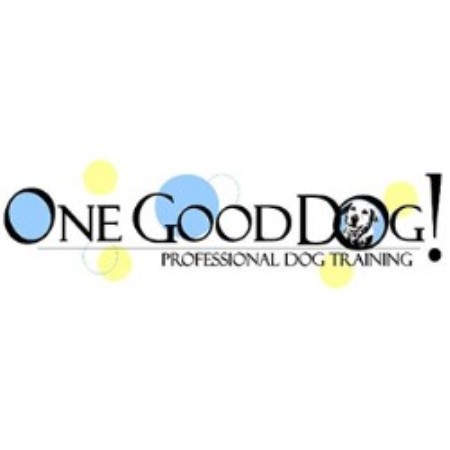 One Good Dog! Professional Dog Training