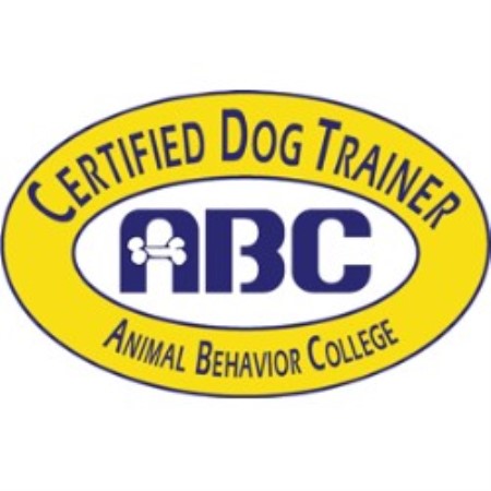 Paw It Forward Dog Training, Llc.