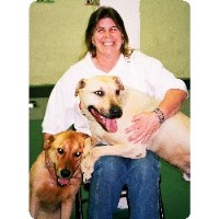 K9 Clan Dog Training Llc Vallejo California Logo 