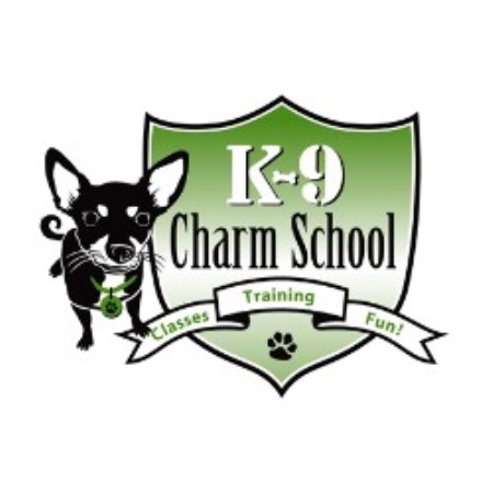Dog Boarding Fort Lauderdale Florida Dog Boarding Fort Lauderdale Florida