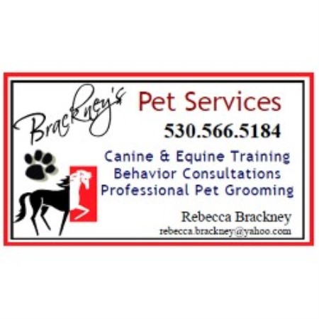 Brackney's  Pet Services