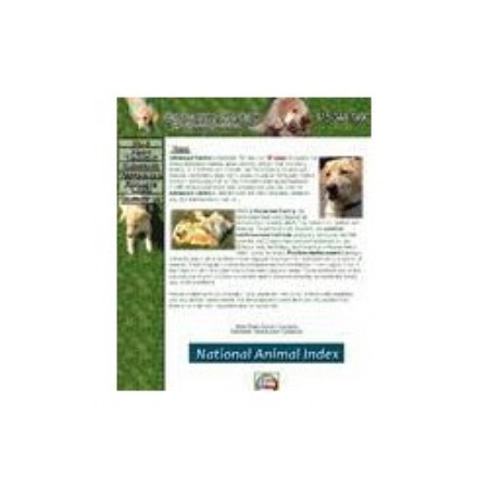 Advanced Canine: Dog Training & Behavior Counseling