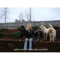 Plumb Pooches Boarding & Daycare LLC Loganville Georgia Logo 