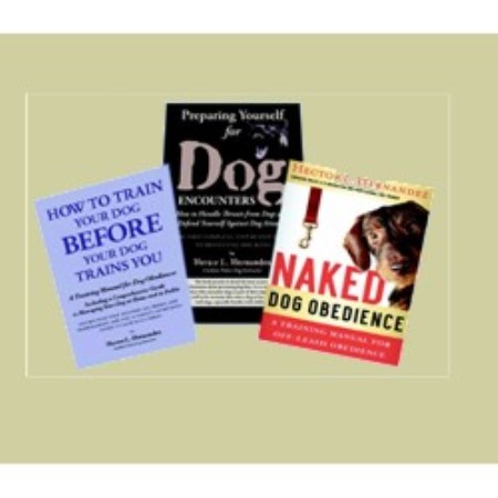 First Class Dog Training