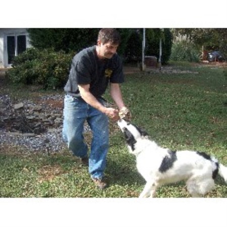 Doggie Relief
