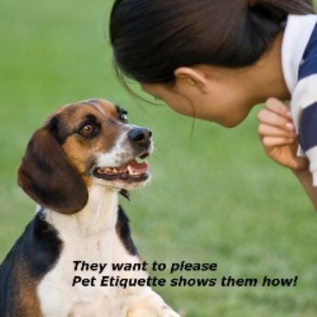 Area's Best Dog Training From Pet Etiquette