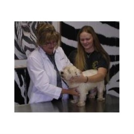 Naples Safari Animal Hospital & Pet Resort, Inc