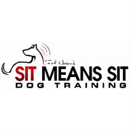 Sit Means Sit - Central Texas Dog Training 