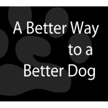 Bark Busters Edmonton In-Home Dog Training