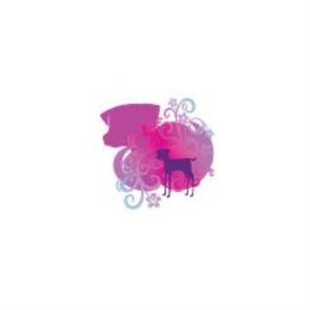 Dog Running & Walking Services