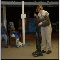 Pawsitively Pets, LLC Wooster Ohio Logo 