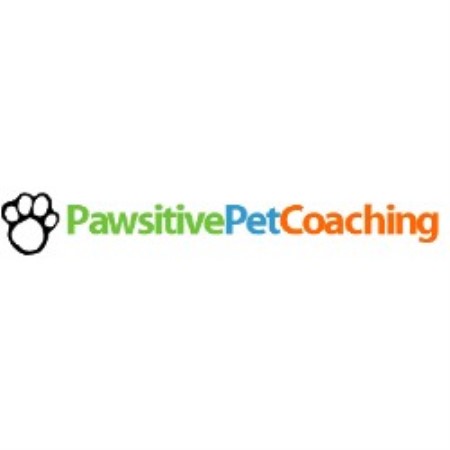 Idaho's Paw-sitive Parking: Your Guide to Pet-Friendly Parking in the Gem State