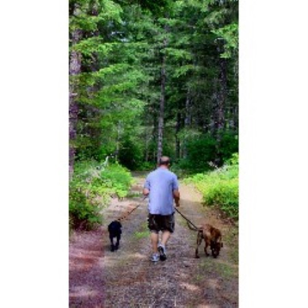 Dog Boarding Eugene Reviews Dog Boarding Eugene Reviews