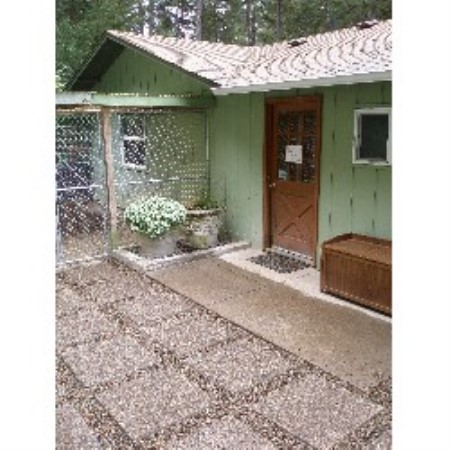 Best Dog Groomer In Eugene Oregon Best Dog Groomer In Eugene Oregon
