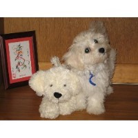 Robins Pups And Training Specialist Of Florida Tampa Florida Logo 