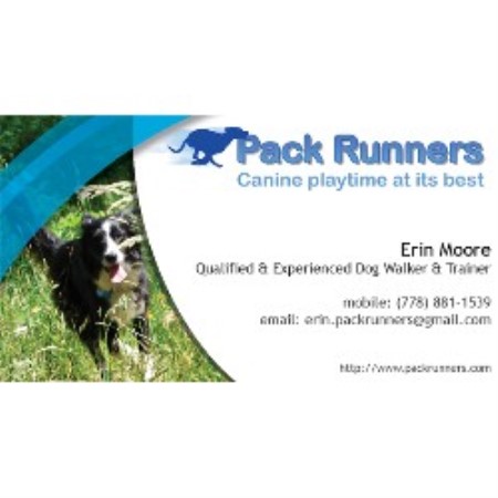 Pack Runners Dog Walking & Training