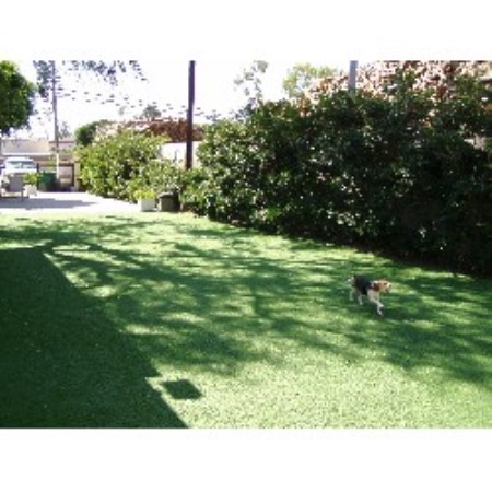 Petopia Pet Resort