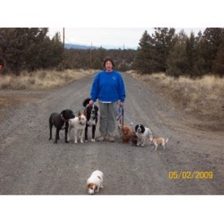 High Desert Dogs