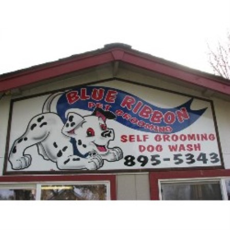 Blue Ribbon Pet Grooming