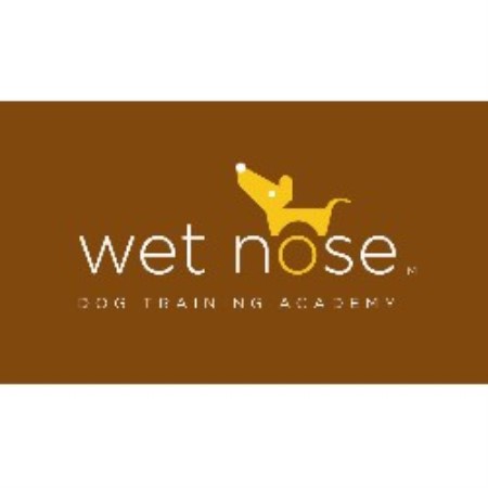 Wet Nose Dog Training Academy