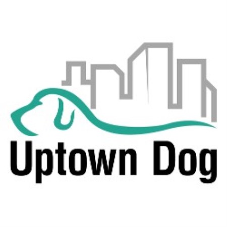 Best Dog Groomer Longmont Best Dog Groomer Longmont