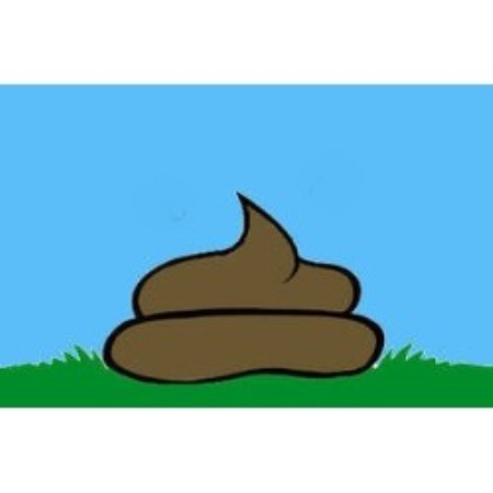 Paws To Bark Professional Pooper Scoopers