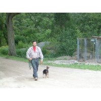 Canine College Bow Wow Resort Holbrook Massachusetts Logo 