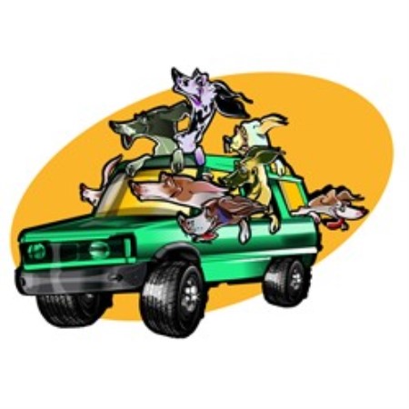 Dog Grooming Apache Junction Dog Grooming Apache Junction