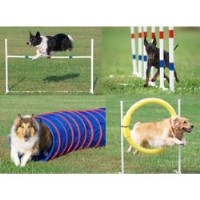 Belquest Kennels Training Mount Airy Maryland Logo 