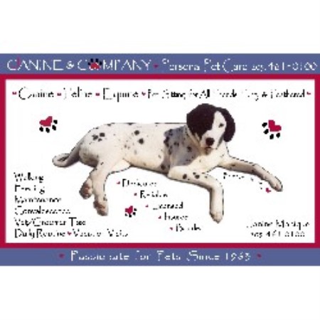 Dog Boarding Business For Sale California Dog Boarding Business For Sale California